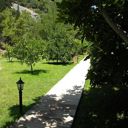 Azra Villas Cirali Quarto foto