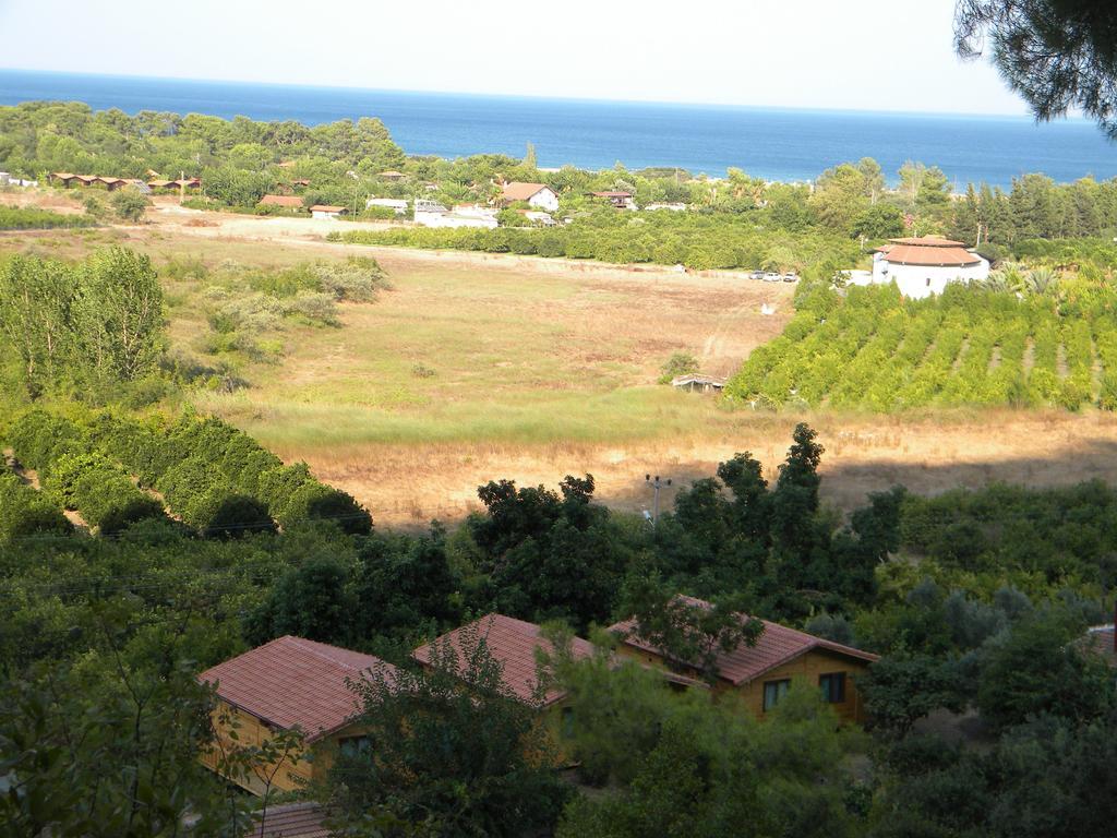 Azra Villas Cirali Quarto foto