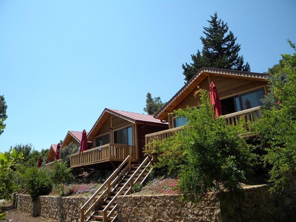 Azra Villas Cirali Quarto foto