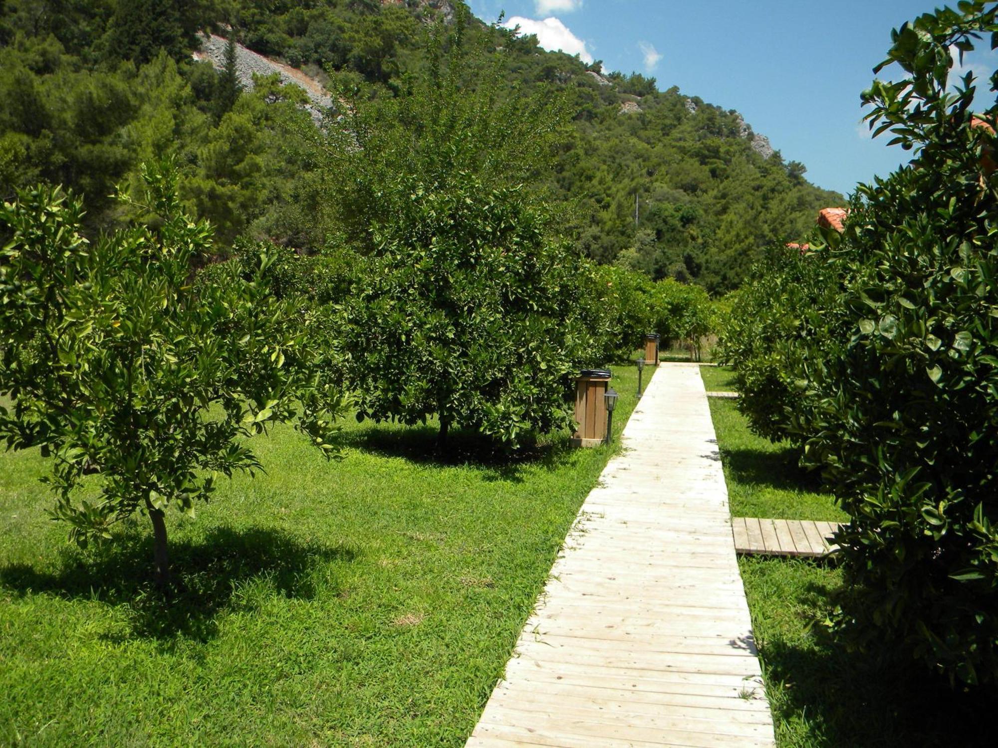 Azra Villas Cirali Quarto foto