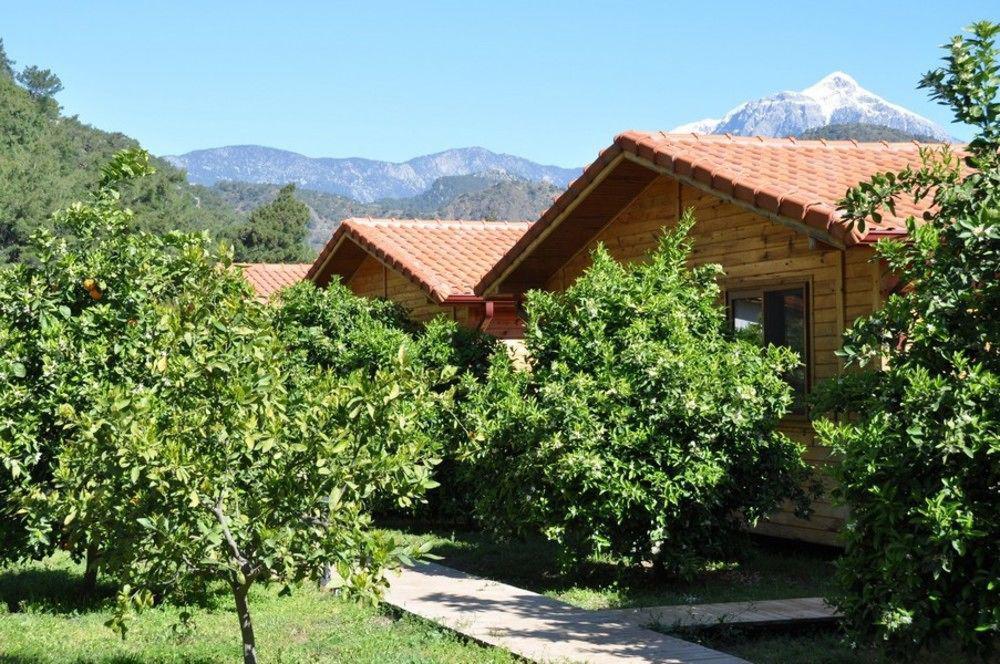 Azra Villas Cirali Exterior foto